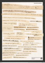 Tabellaria flocculosa (Roth) Kuetz. (de-Toni-Nr.: Genus 89, Species 2988) Zeichnungen Sammlung Grunow (NHMW-BOT-W0374622)